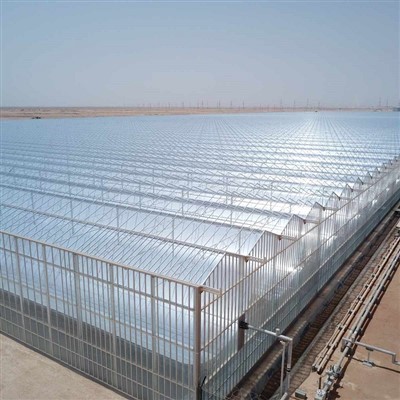 Μεγάλο Γυάλινο Θερμοκήπιο