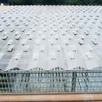 Ημίκλειστα Θερμοκήπια